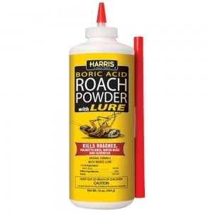 boric acid roach powder