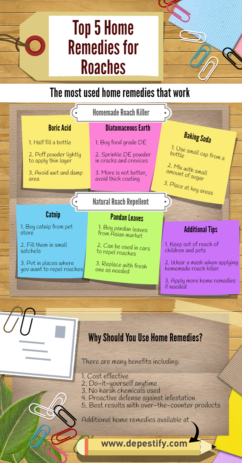 Home Remedies for Roaches Infographic