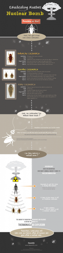 Can Cockroaches Survive a Nuclear Bomb? (Infographic)