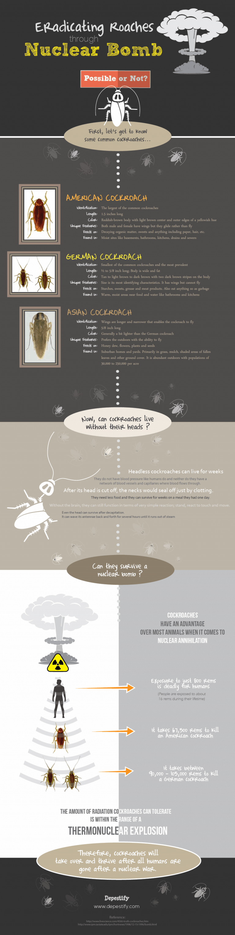 can-cockroaches-survive-a-nuclear-bomb-infographic